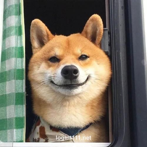 Avatar do usuário Pedro